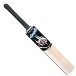 Cougar Dasher Bat