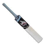 Cougar Predator Cricket Bat